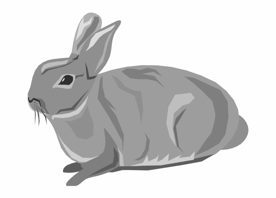 Clipart rabbit clear background. White easter bunny hare