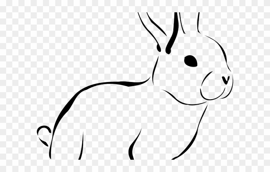 Png download . Clipart rabbit conejo