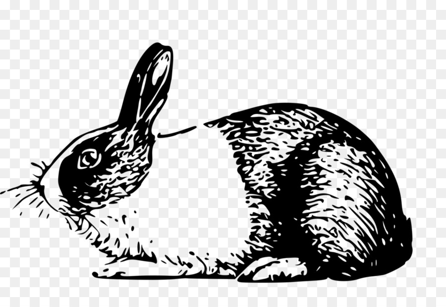 clipart rabbit dutch rabbit