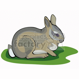 clipart rabbit grey rabbit