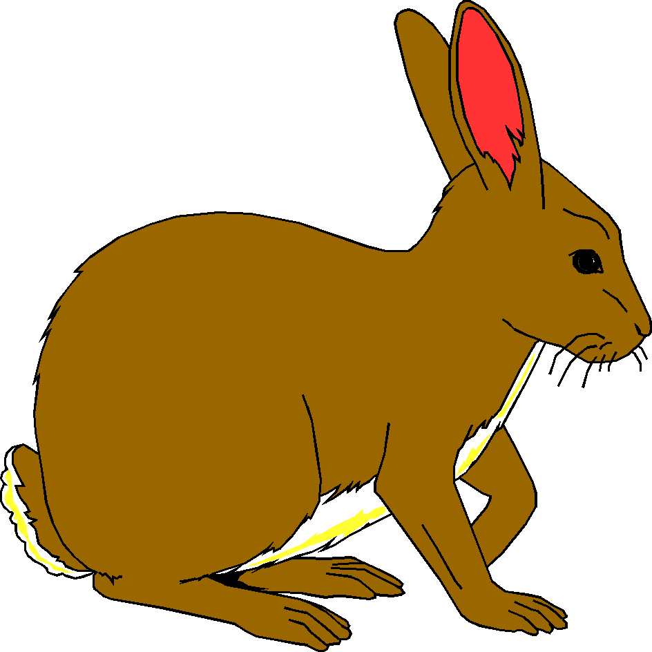 clipart rabbit jack rabbit