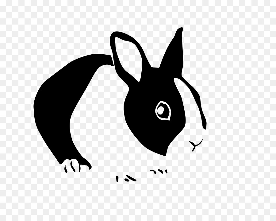 clipart rabbit netherland dwarf