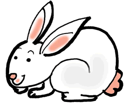 clipart rabbit rabbite