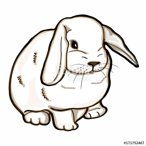 clipart rabbit realistic