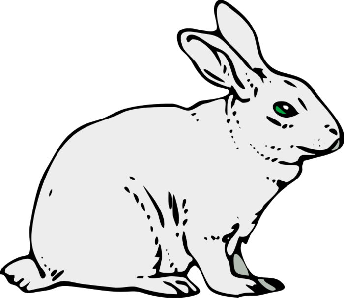 clipart rabbit sketch