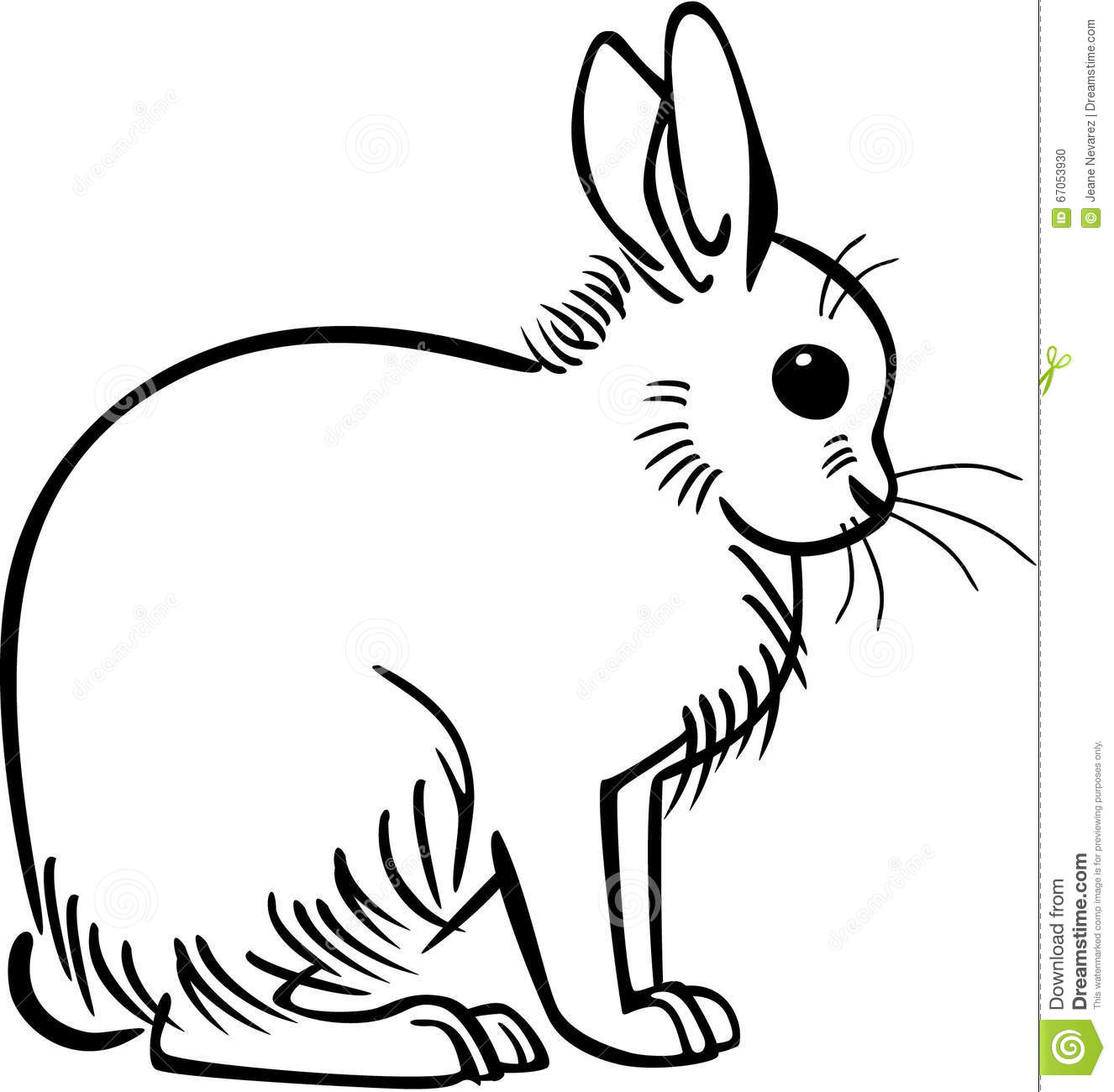 Free download best on. Clipart rabbit snowshoe rabbit