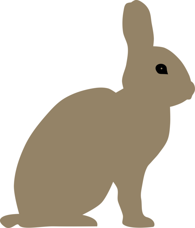 Clipart rabbit snowshoe rabbit. Wildlife rabits and hares
