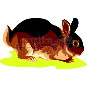 clipart rabbit tan