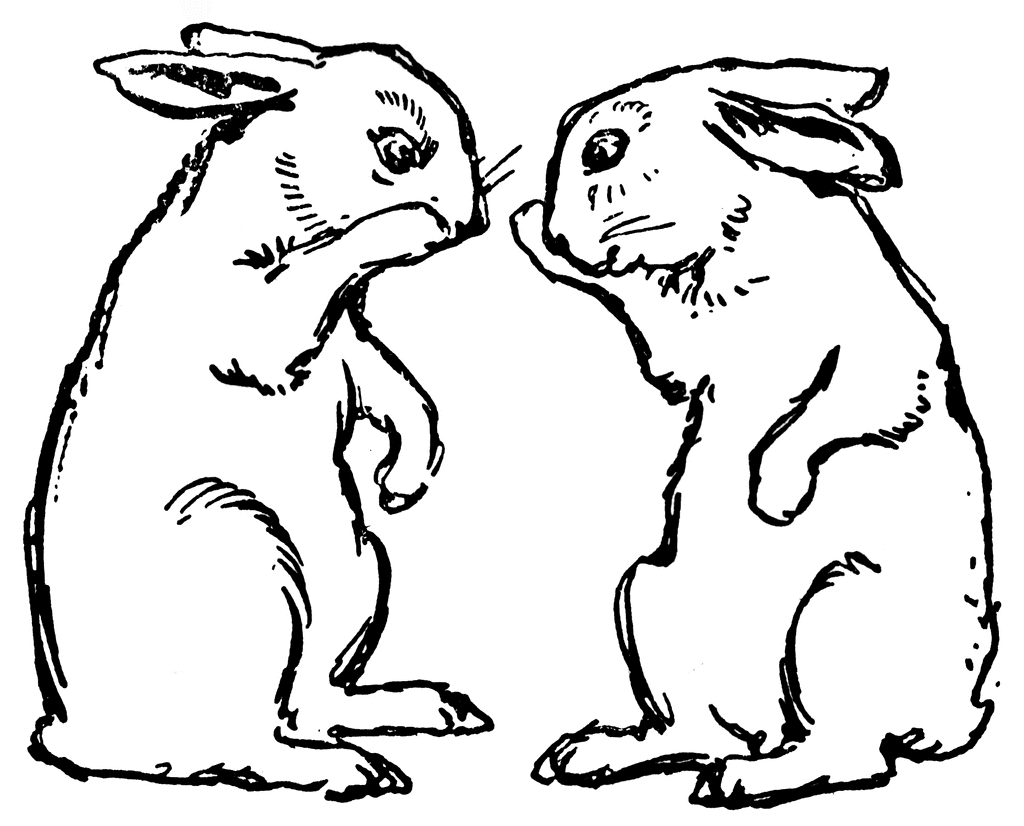 clipart rabbit two