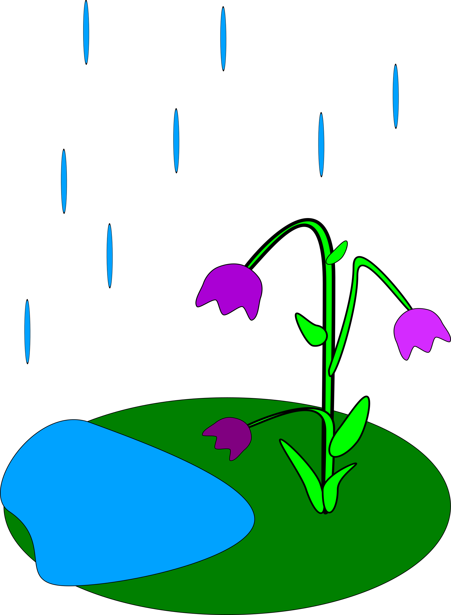 plant clipart rain