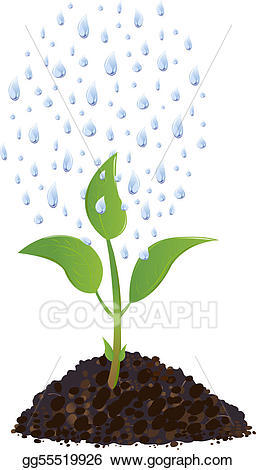 clipart rain plant