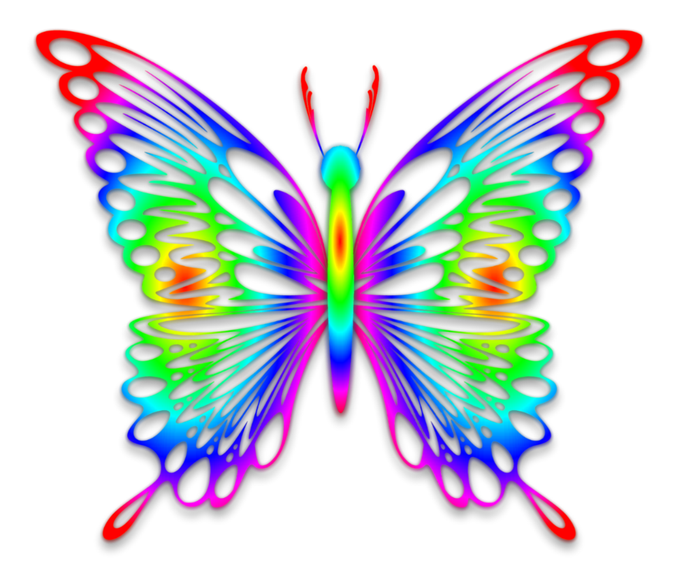 may clipart butterfly