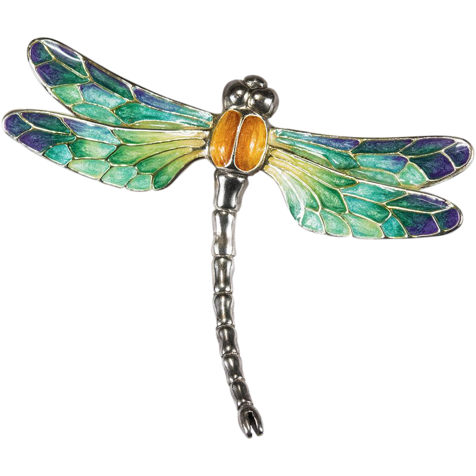 Dragonfly clipart copyright free. Image result for picture