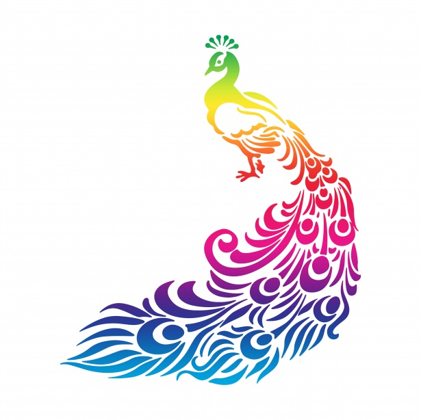 peacock clipart art competition