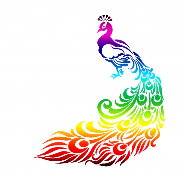 peacock clipart rainbow