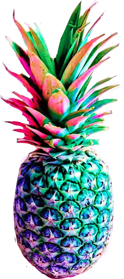 clipart rainbow pineapple