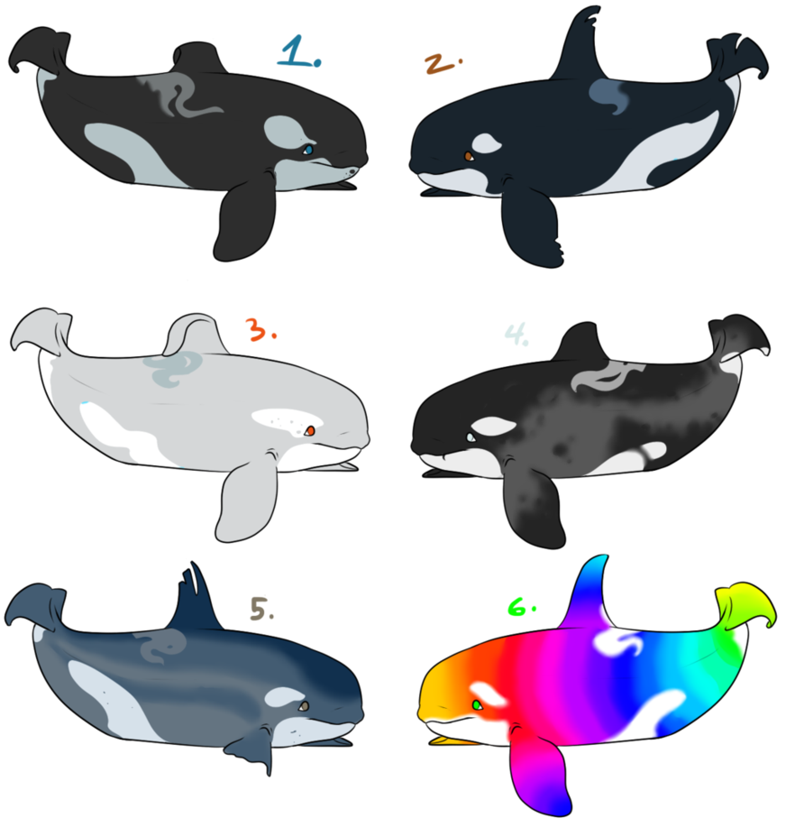 orca clipart chibi