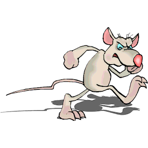 clipart rat angry