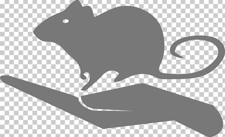 Whiskers mouse cat png. Clipart rat animal scientist