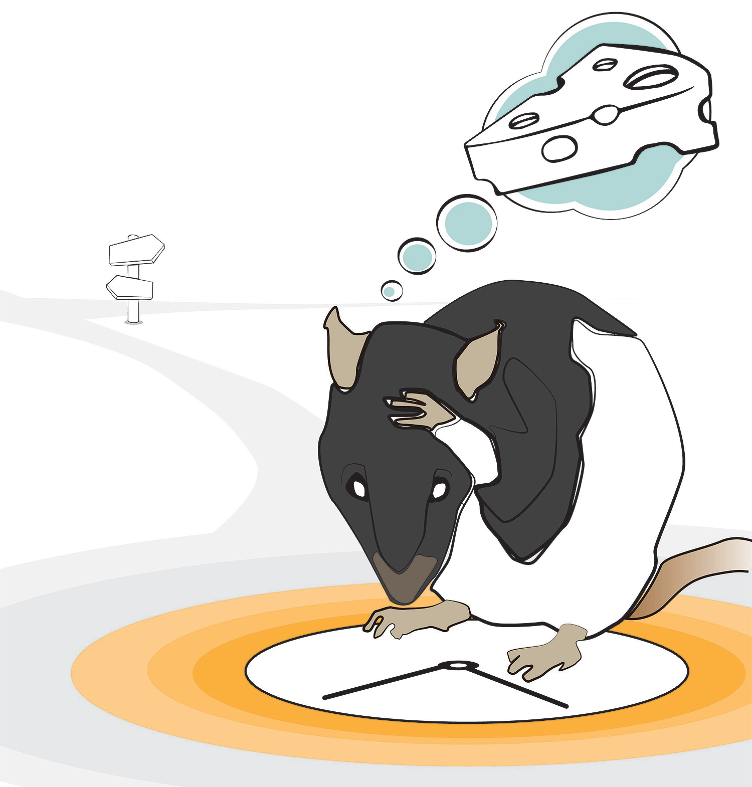 Gambling with confidence are. Clipart rat animal scientist