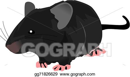 clipart rat big rat