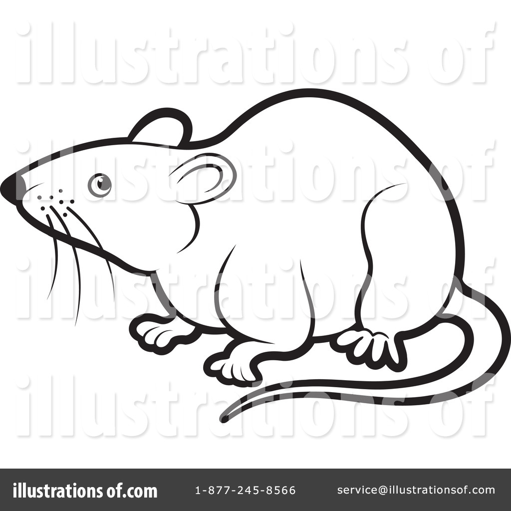 Clipart rat black and white.  clip art clipartlook