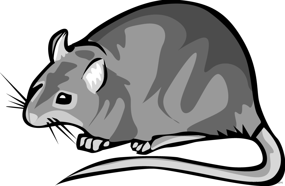 rat clipart black and white