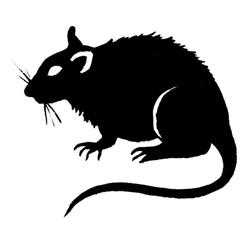 clipart rat black death