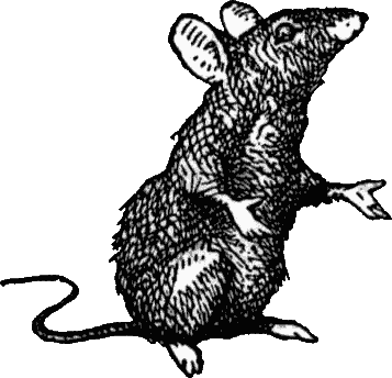 Clipart rat bubonic plague. Cause of rats and