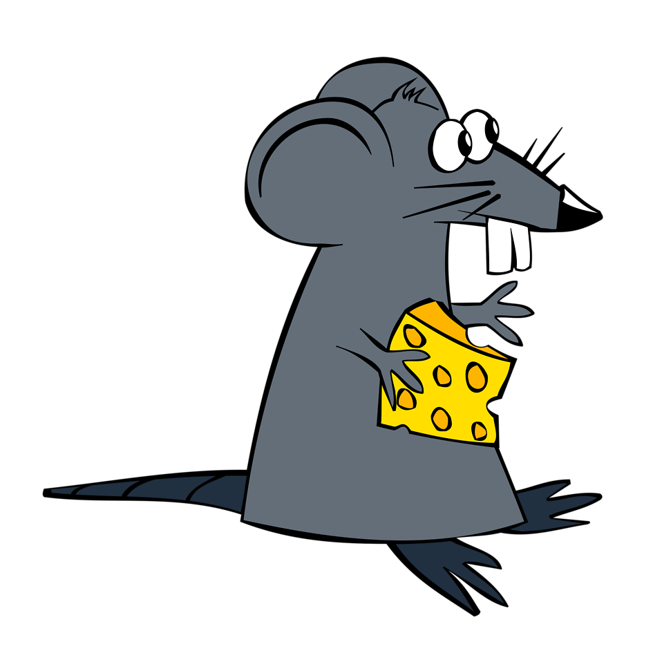Free stock photo illustration. Clipart rat clear background