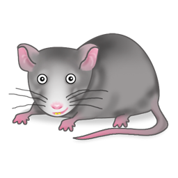 clipart rat cute rat