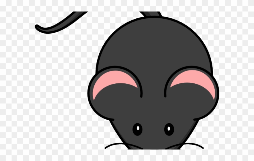mouse clipart rat