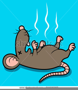 clipart rat dead rat