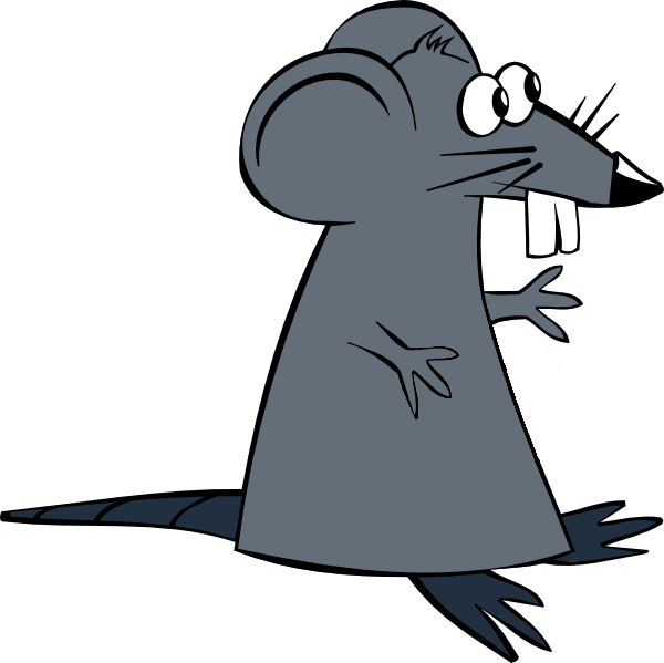 Clipart rat drawing. Free images at clker