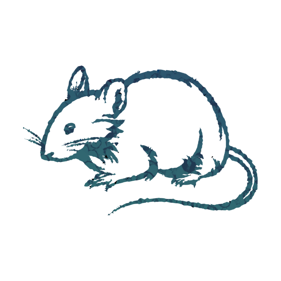 rat clipart drawing