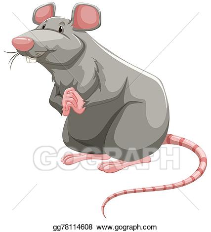 Rat clipart grey rat. Vector illustration eps gg