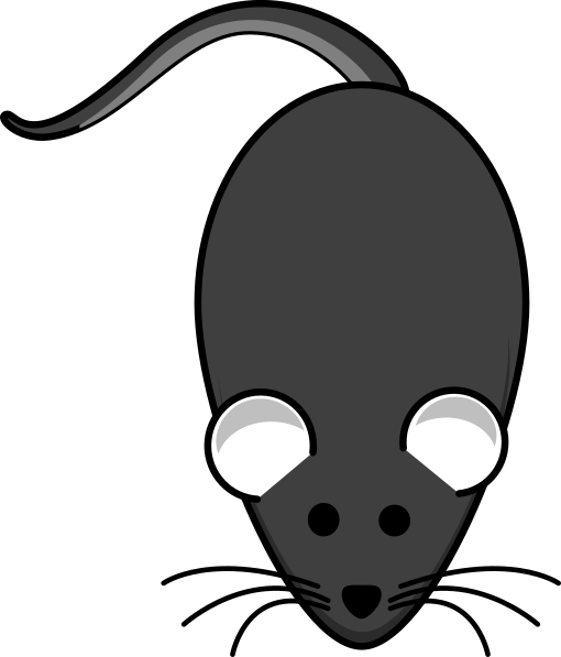 Clipart rat grey rat, Clipart rat grey rat Transparent FREE for