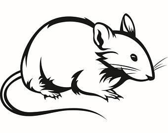 rat clipart black and white