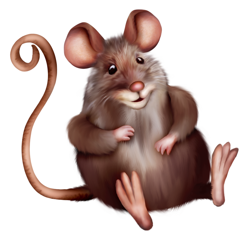 Clipart rat little mouse. Pet stuff psp and