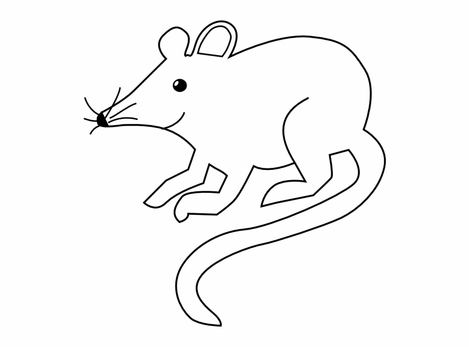 Picture black and white. Clipart rat outline