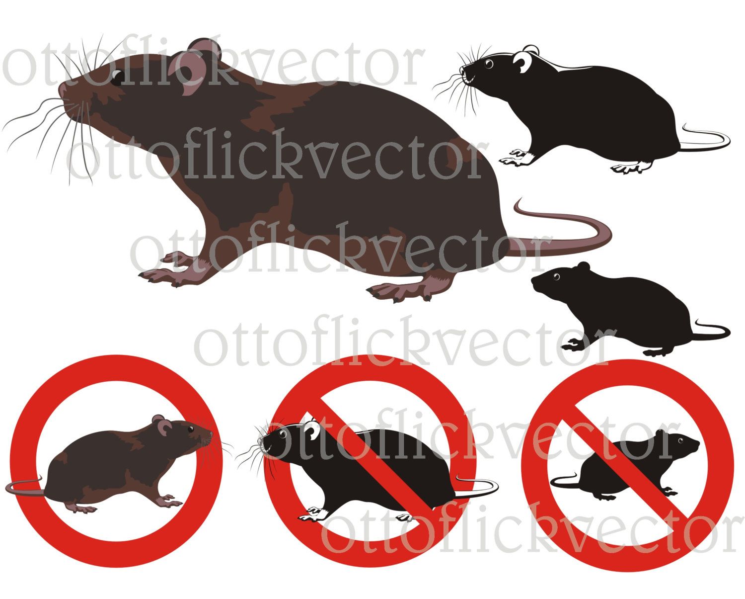 Pin na my vector. Clipart rat pest control