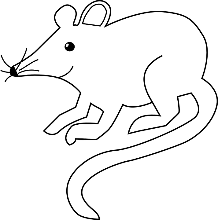clipart rat printable