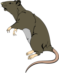 Greedy clip art at. Rat clipart grey rat