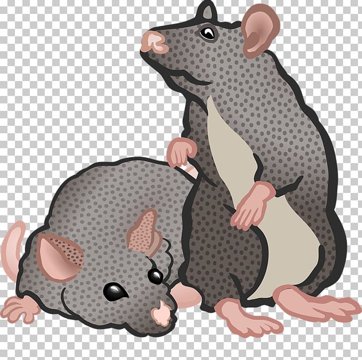 clipart rat rat family