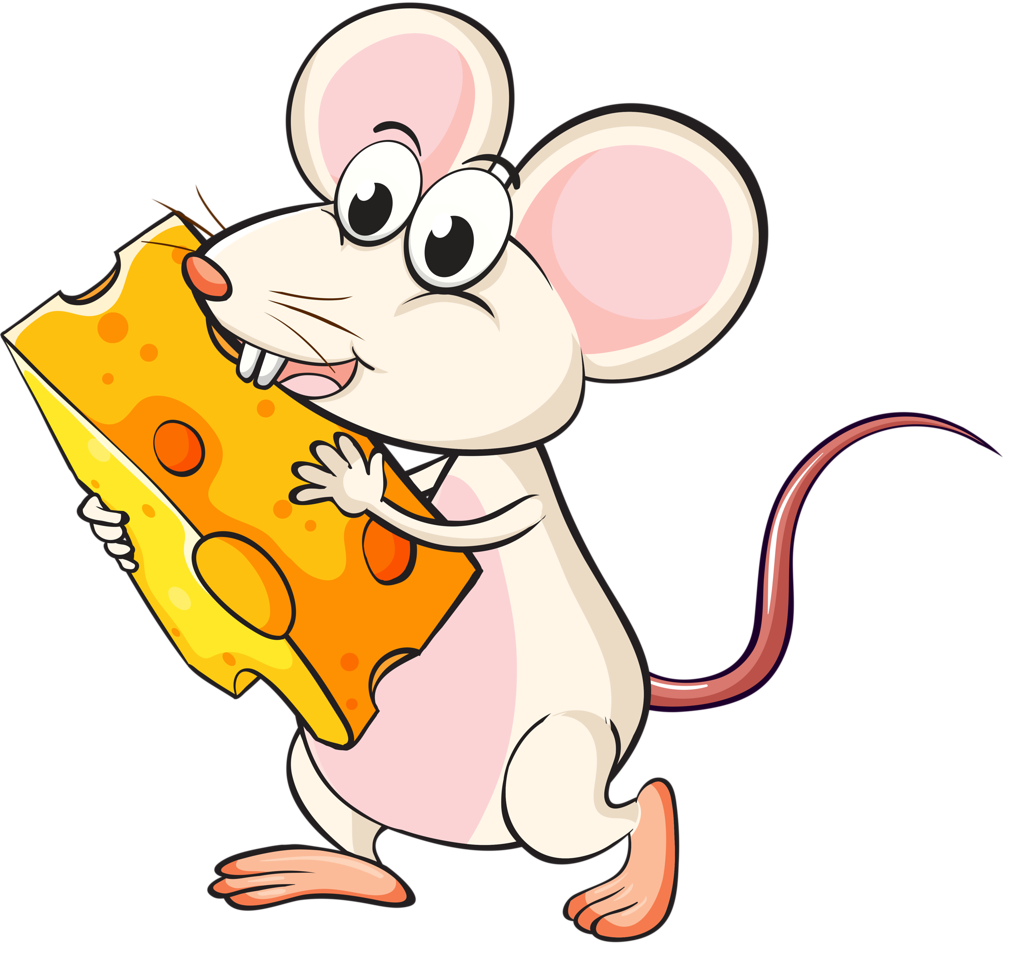 Rat rat family