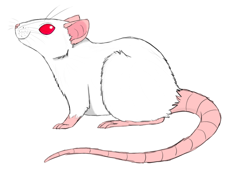 Sketch sheik by whiterstar. Rat clipart fancy