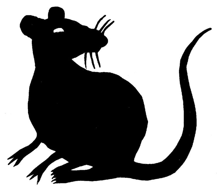 clipart rat scary