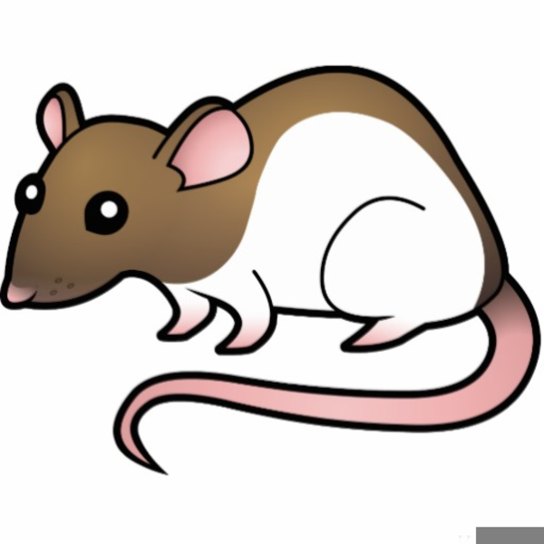 clipart rat small rat