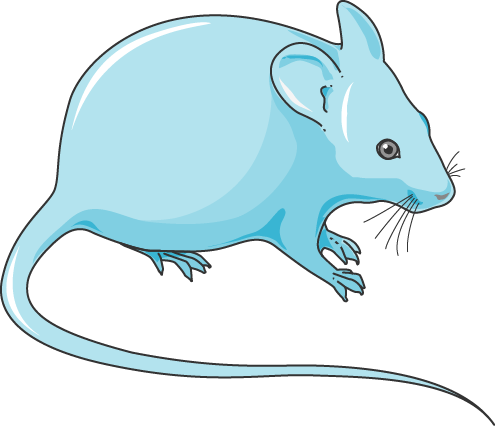 rat clipart smart