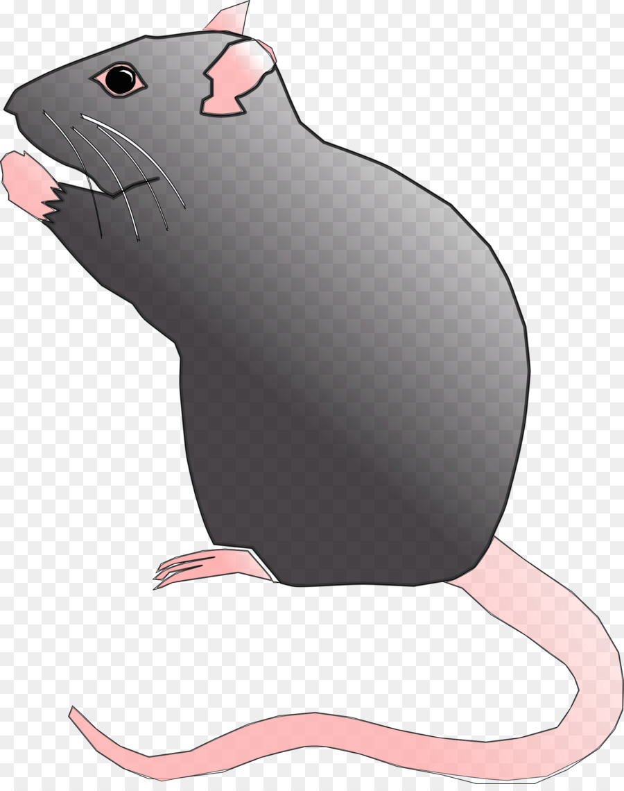 Mouse clipart standing. Cartoon rat graphics transparent